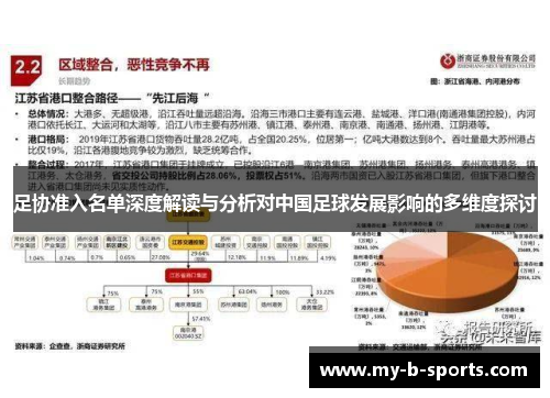 足协准入名单深度解读与分析对中国足球发展影响的多维度探讨