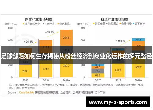 足球部落如何生存揭秘从粉丝经济到商业化运作的多元路径