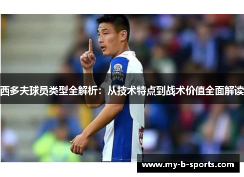 西多夫球员类型全解析：从技术特点到战术价值全面解读